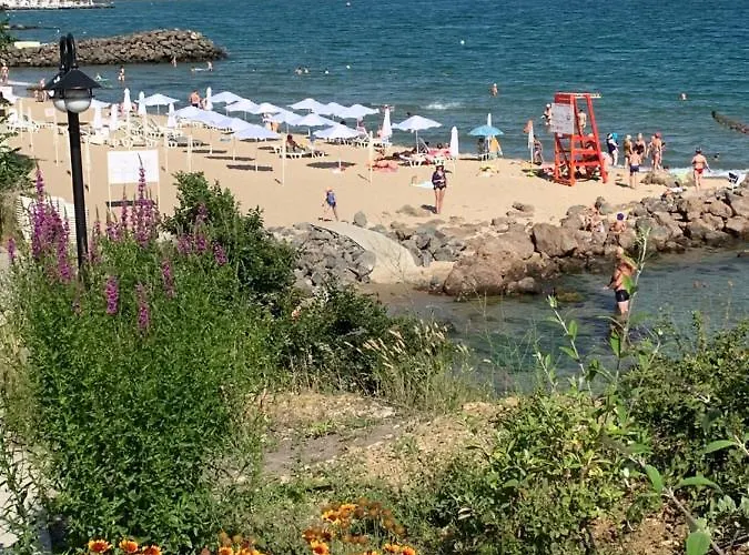 Private 49 In Prestige Свети Влас